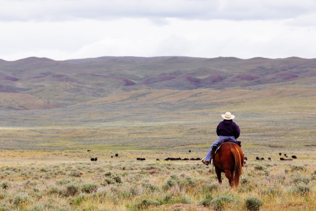 A person riding a horse in rural Montana