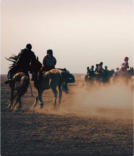 Trail Horse Riding 