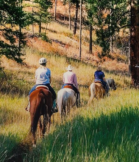 A woman horseback riding during sunset