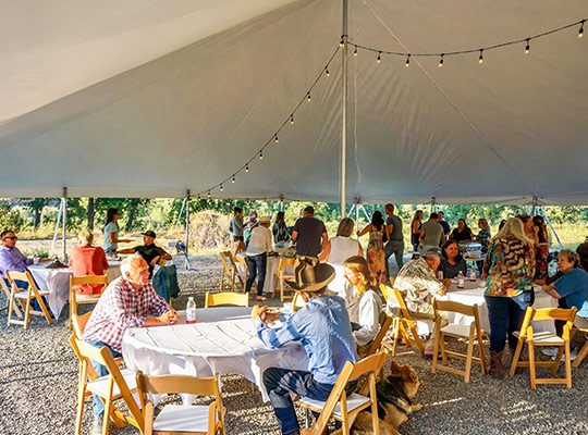 Guests inside a wedding tent