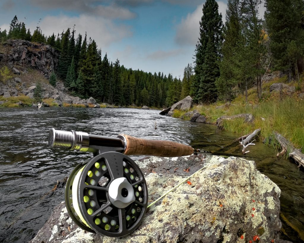 A fly fishing reel and rod surrounded by nature