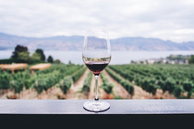 A glass of wine overlooking a vineyard