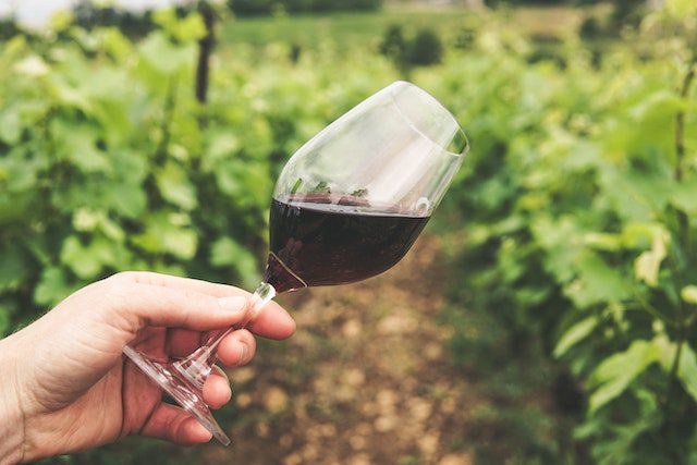 A person holding a glass of wine in a vineyard