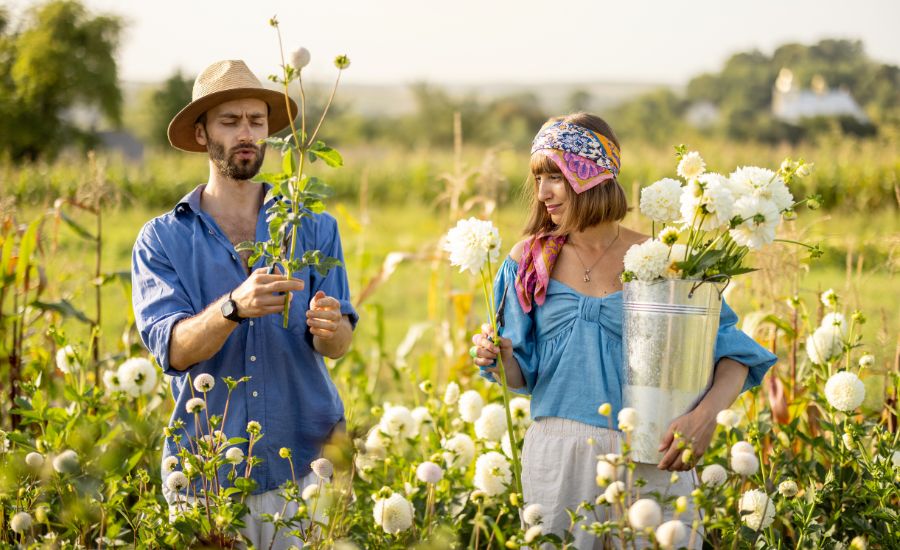 What Is Agrotourism?