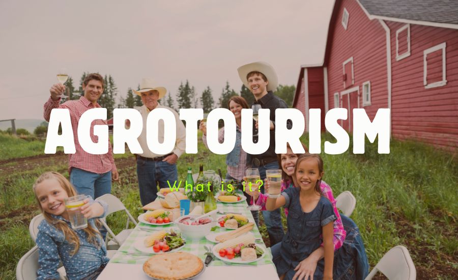What Is Agrotourism?
