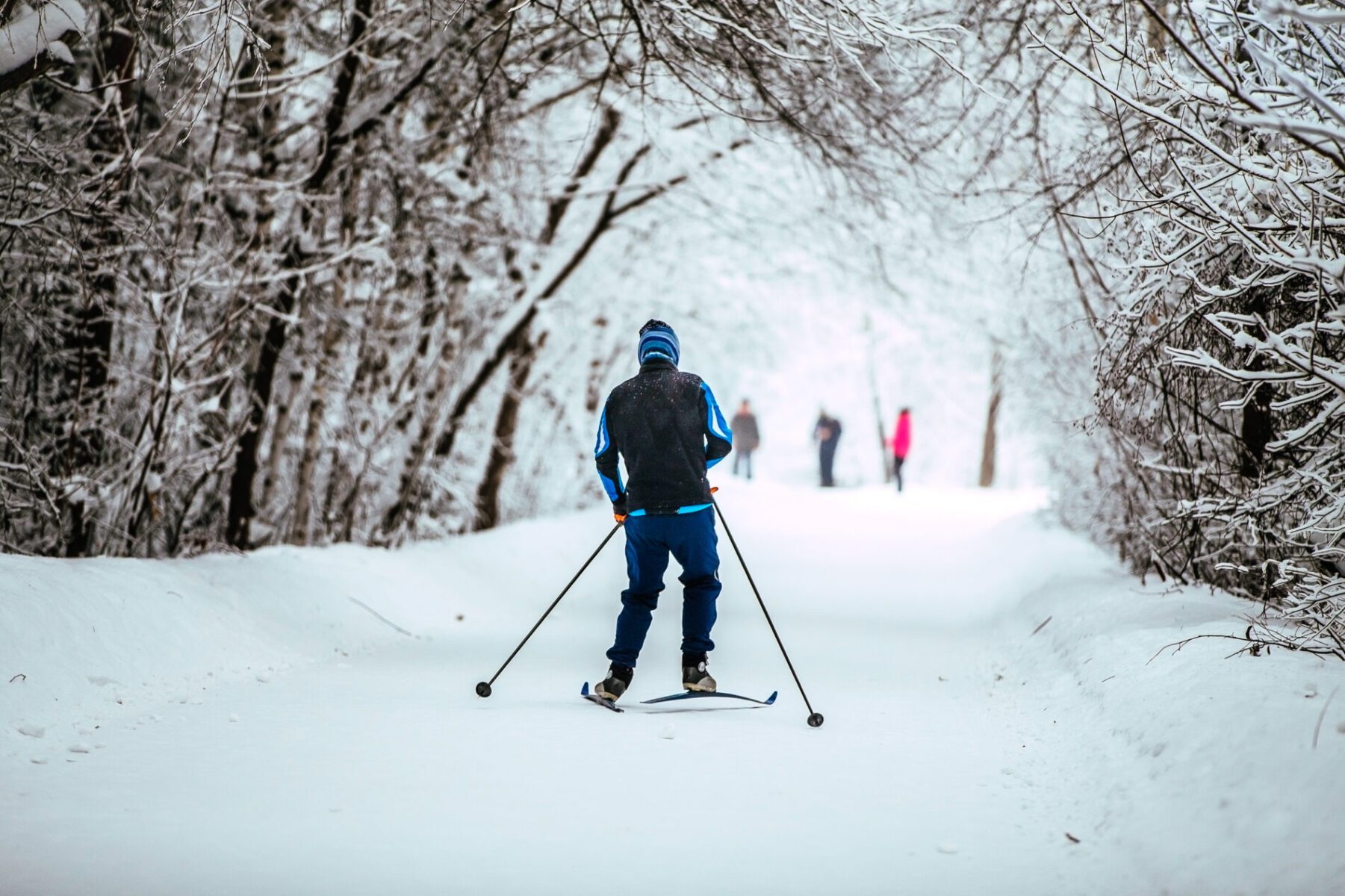 winter at alberton orchards