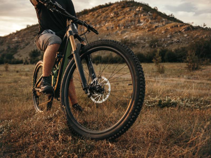 fat tire bike tours